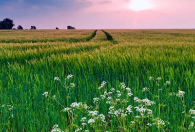 ​精选网络爱情话语