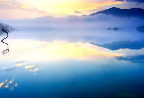 1768241899387146.png image.png