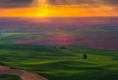 ​描绘爱情的词52句