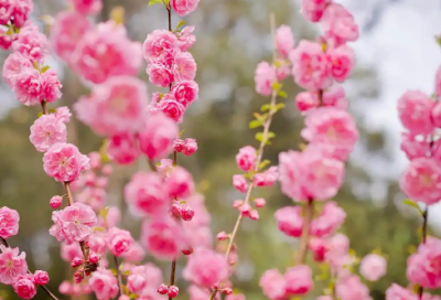 ​唯美爱情短句伤感到哭