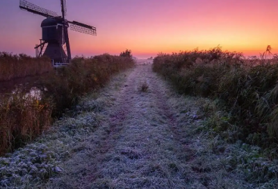 ​总结婚姻与爱情的差别