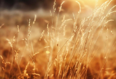 ​英文爱情短句八字以内126句