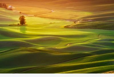 ​爱情语句 梦想这回事就是用来破灭的吧