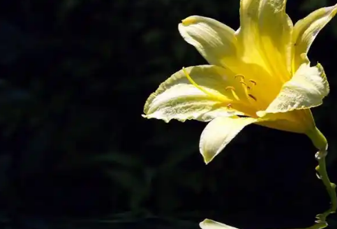 1768245380626883.png image.png