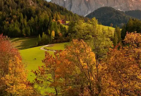 1768245546134588.png image.png