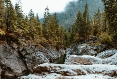 ​纹身爱情英文短句翻译