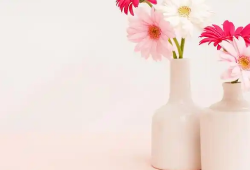 1768245877724205.png image.png