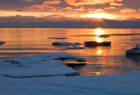 1768246209435982.png image.png