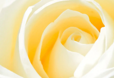 ​挽回爱情感人的话