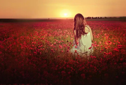 1768248529756207.png image.png