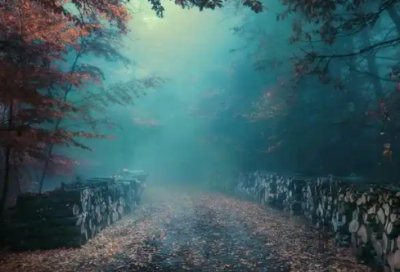 ​治愈神仙温柔短句 森系干净短句无关爱情