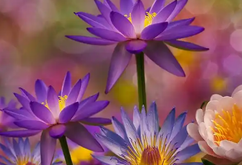 1768249689174602.png image.png