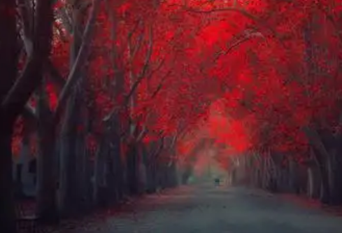 1768249854108966.png image.png