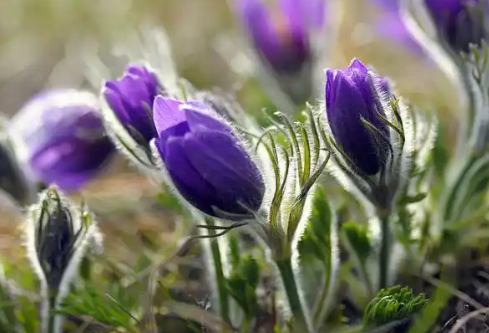 1768250186423170.png image.png