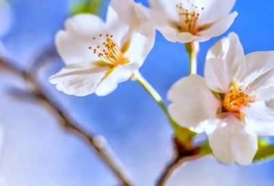 ​十月早安爱情心语唯美