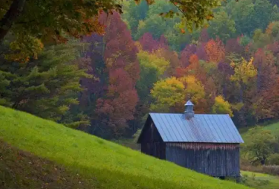 ​一句话打动人心爱情短句十字