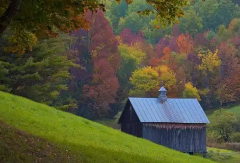 1768251015100352.png image.png