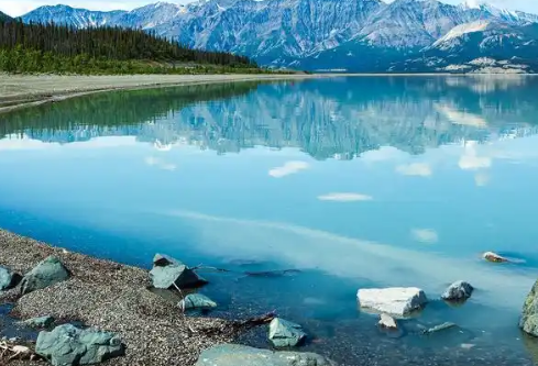 1768251180660208.png image.png