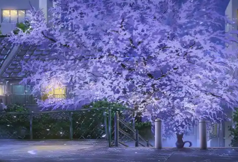 1768251346425748.png image.png