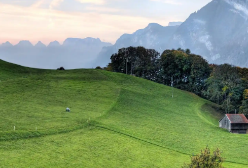 1768251843268340.png image.png