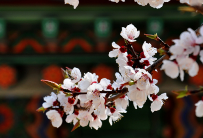 ​爱情小短句暖心十字以内