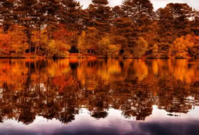 ​与爱情有关的事唯美的话语句(关于爱情的伤感语句)