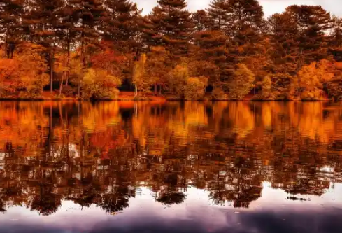 1768252341727273.png image.png