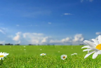 ​qq留言板大全爱情80句