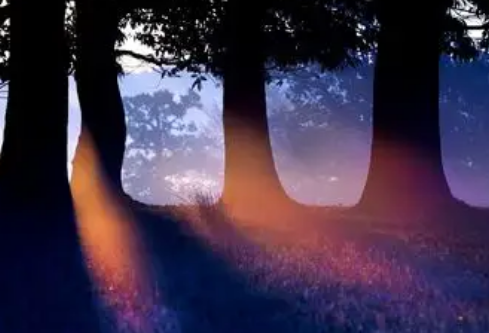 1768253004565207.png image.png