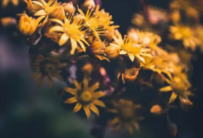 ​话穿透人心爱情