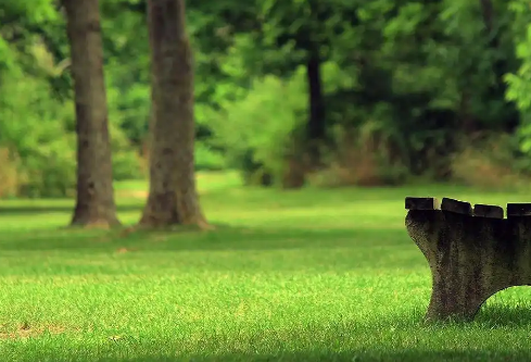 1768255324504217.png image.png