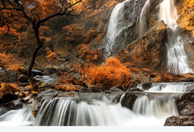 ​张爱玲话道尽爱情，句句不俗