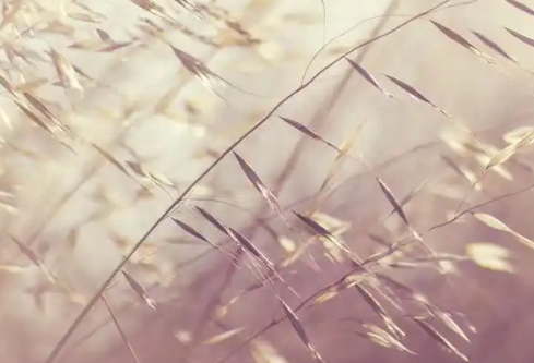 1768255987692984.png image.png