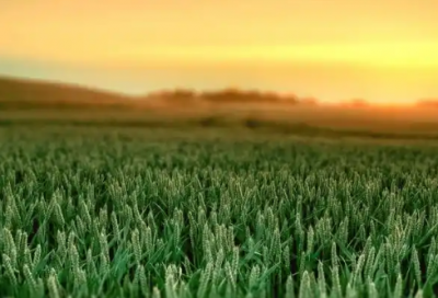 ​发什么话能让男人回心转意 一句话挽留爱情