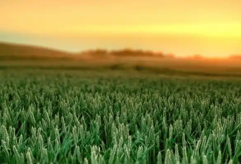 1768256816258908.png image.png