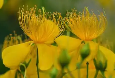 1768256981870591.png image.png