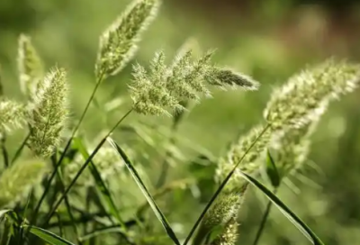 ​爱情感人的话