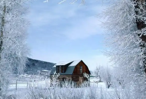 1768257976482172.png image.png