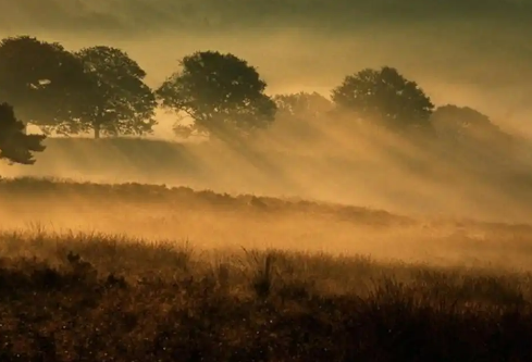 1768258141431440.png image.png