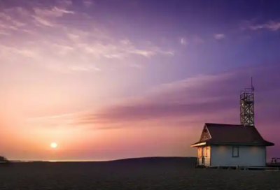 ​有关爱情的名句赏析