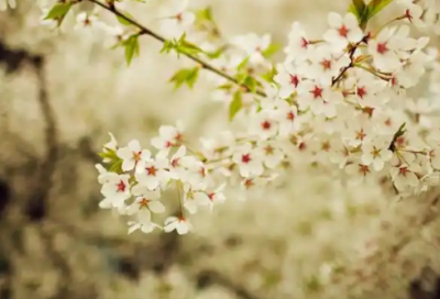 ​网络爱情话语摘录