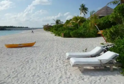 ​2026年千纸鹤的爱情语句