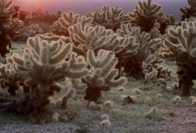 ​最新爱情伤感语句 牵著我的手,闭著眼睛走你也不会迷路