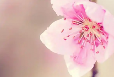 ​qq网名两字爱情