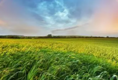 ​mc爱情表白词18句