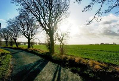 ​描述绝美爱情的一句话(爱情中有道理的十字短句)