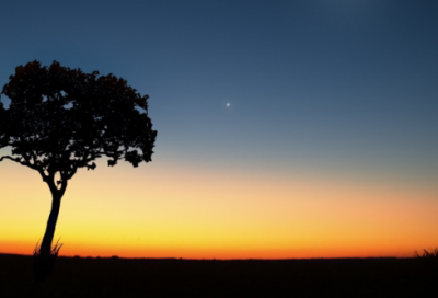 ​情侣爱情宣言 爱情宣言情侣的甜蜜