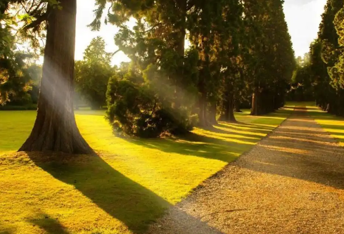 1768315202392255.png image.png