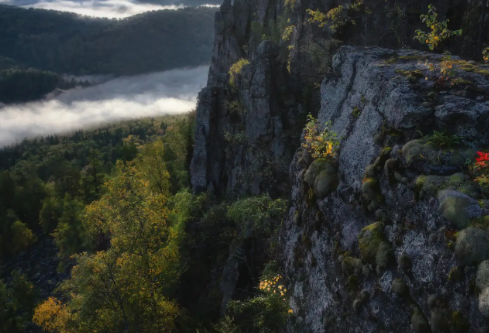 1768315368849563.png image.png