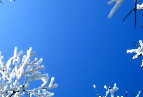 1768315534349716.png image.png